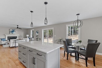 36 Stephen C Savage Way, Plaistow, NH 03865 - photo 7