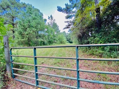 000 China Grove Rd, Tylertown, MS 39667 - photo 3