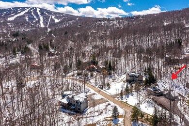 21 W Branch Rd unit 99, Winhall, VT 05340 - photo 3