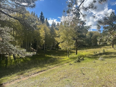 134 Onate Rd, Angel Fire, NM 87710 - photo 3