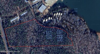 unlisted-address, Dadeville, AL 36853 - photo 7