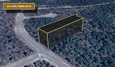 0 Timberlake Dr unit 25712620, Chipley, FL 32428 - photo 2