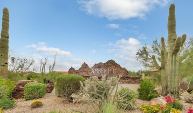 Amber Hills
