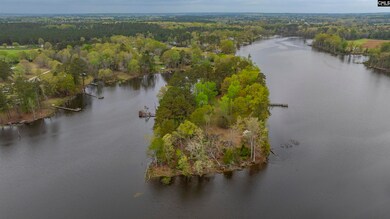 100 Harbors End Dr, Saluda, SC 29138 - photo 7