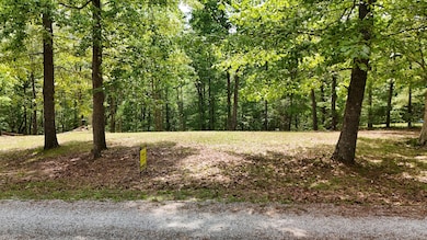 0 Owl Hollow Ln, Winchester, TN 37398 - photo 2