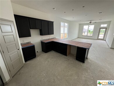 322 State Loop, Troy, TX 76579 - photo 7