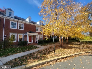 3279 S Stafford St unit B1, Arlington, VA 22206 - photo 2
