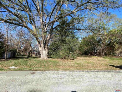 TBD Madison St, Bennet, NE 68317 - photo 3