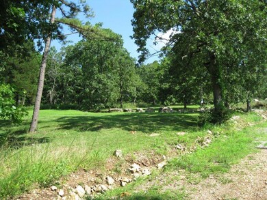 Lot 4 Breezy Point Ln, Ruth B Rural Township, MO 65686 - photo 3