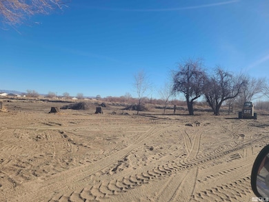 1755 Coleman Rd, Fallon, NV 89406 - photo 4