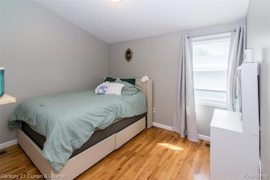 716 Ternes Rd, Tecumseh, MI 49286 - photo 7