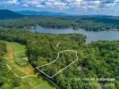 TBD Seminole Way, Lake Toxaway, NC 28747 - photo 3