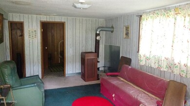 2133 Aster St, Bitely, MI 49309 - photo 4