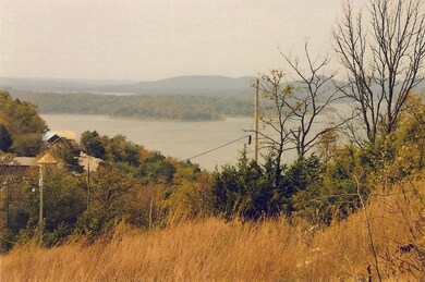 Lot Blue View Ln, Ruth B Rural Township, MO 65686 - photo 4