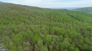 Lot 24 Mosby Springs Rd, Linden, VA 22642 - photo 6