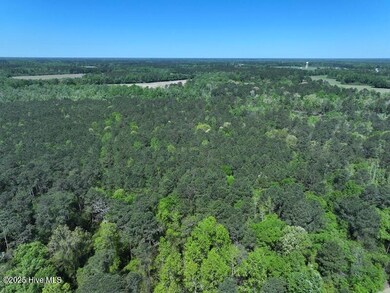 DJI_20250410124422_0531_D