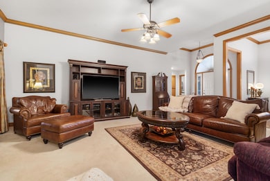 6-web-or-mls-HWJ07682