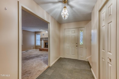 2204 Nave Dr, Johnson City, TN 37601 - photo 5