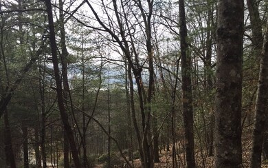 0 Bear Cub Trail unit 284816, Mineral Bluff, GA 30559 - photo 2