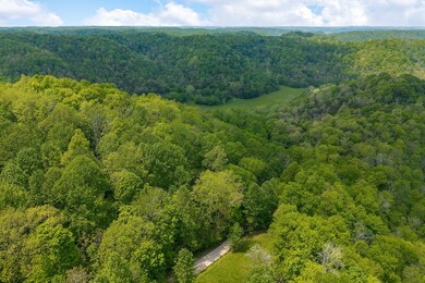 0 Red Bud Ln, Hilham, TN 38568 - photo 7