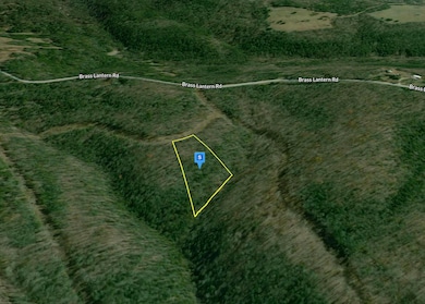 100 Piper Ln, Cedar Creek, MO 65627 - photo 2