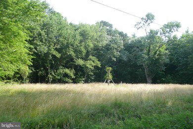 28896 Sanderstown Rd, Trappe, MD 21673 - photo 6