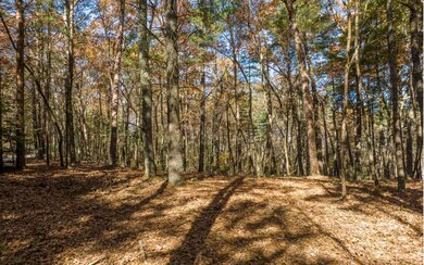 2 TR Old Anderson Creek, Ellijay, GA 30536 - photo 5