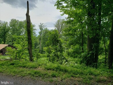 0 Lot 472 Pickford Ct unit VAWR2003334, Front Royal, VA 22630 - photo 3