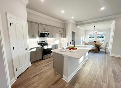 176 Natureview Way, Freeport, FL 32439 - photo 2