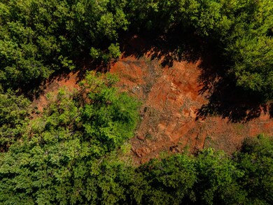 01 Bayshore Dr unit 1, Seneca, SC 29672 - photo 6