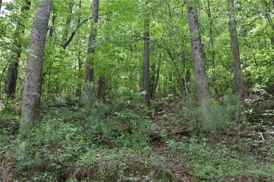 View of nature