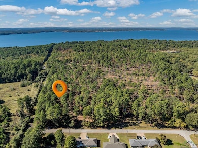 0, Flint, TX 75762 - photo 3