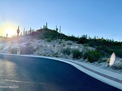 2096 S Twinkling Starr Dr unit 11, Tucson, AZ 85745 - photo 4
