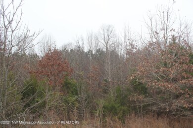 78 Bennett Cir, Byhalia, MS 38611 - photo 5