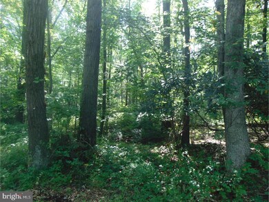 0 Indian Run Rd unit 1001243297, New Ringgold, PA 17960 - photo 6