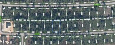 7604 Ancha St, Sebring, FL 33872 - photo 4