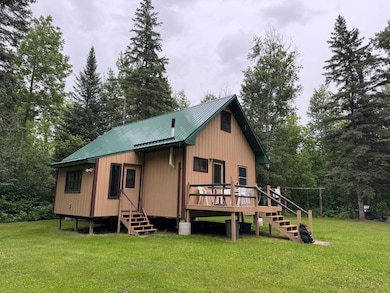 TBD Tangnes Forest Rd, Southeast Roseau Unorg. Terr., MN 56673 - photo 2