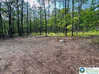 5 Foothill Blvd, Chestnuthill Township, PA 18330 - photo 3