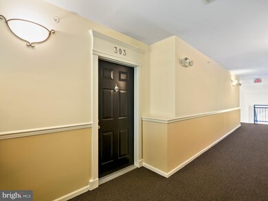 1505 N Point Dr unit 303, Reston, VA 20194 - photo 2