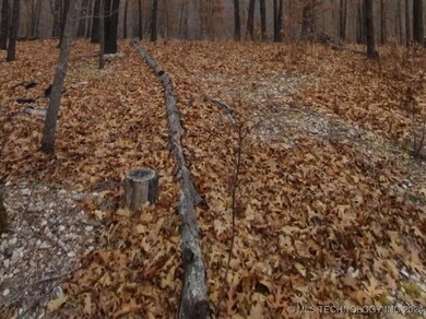 463977 Whitewater Ridge Rd, Proctor, OK 74457 - photo 3