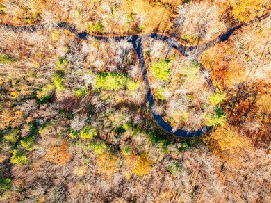 Lot 22&23 Tamarack Trail, Camden, ME 04843 - photo 4