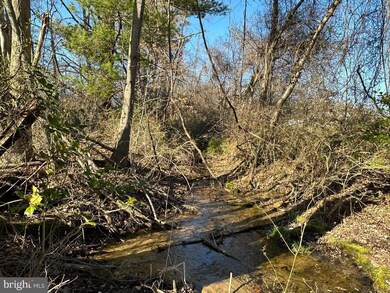 10 Michelle Way, Round Hill, VA 20141 - photo 7