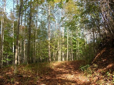 0 Highway 321, Blowing Rock, NC 28605 - photo 7