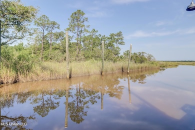 bayou