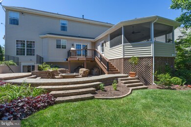 910 Wayne Dr, Winchester, VA 22601 - photo 5