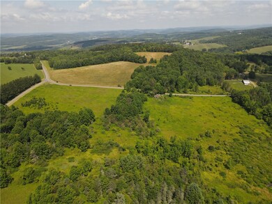 0 Ramey Rd, New Lisbon, NY 13411 - photo 4