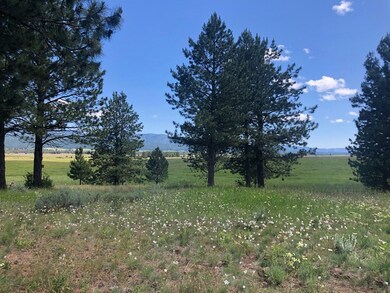Big Valley & Mountain Views