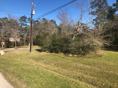 XXX Bob Link, Magnolia, TX 77484 - photo 4