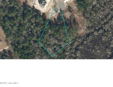 708 Serenity Way, Sneads Ferry, NC 28460 - photo 5