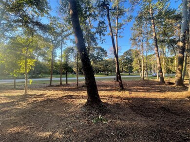 28024 Greenbriar Dr, Hockley, TX 77447 - photo 6